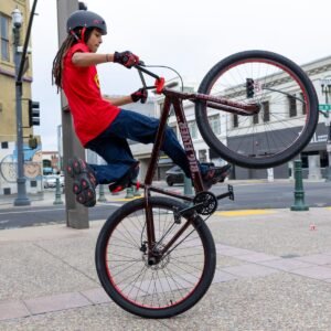 Big Flyer